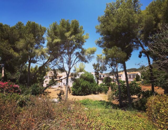 Después de meses, casi un año en silencio, hoy os puedo decir que #sostenible_sl está desarrollando el proyecto tan esperado. VAMOS A DISEÑAR UNA CASA SOSTENIBLE Y PASIVA. Pronto presentamos planos y todo el proceso de construcción. En #santperederibes en el terreno más bonito, #conencanto #bucolico #casitasblancas #mediterraneo
